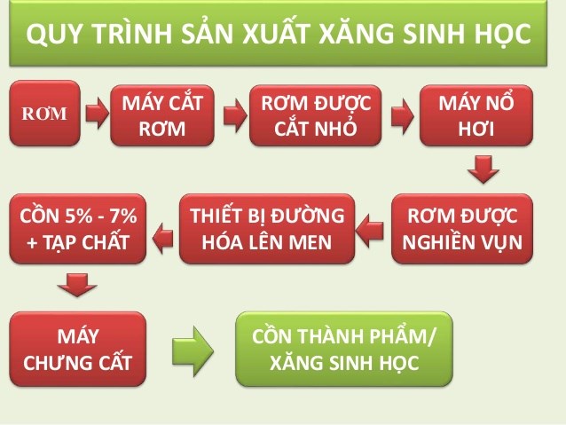 Công nghệ sản xuất và thị trường nhiên liệu sinh học (23/8/2018)